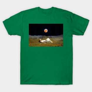 Protector of the Valley... T-Shirt